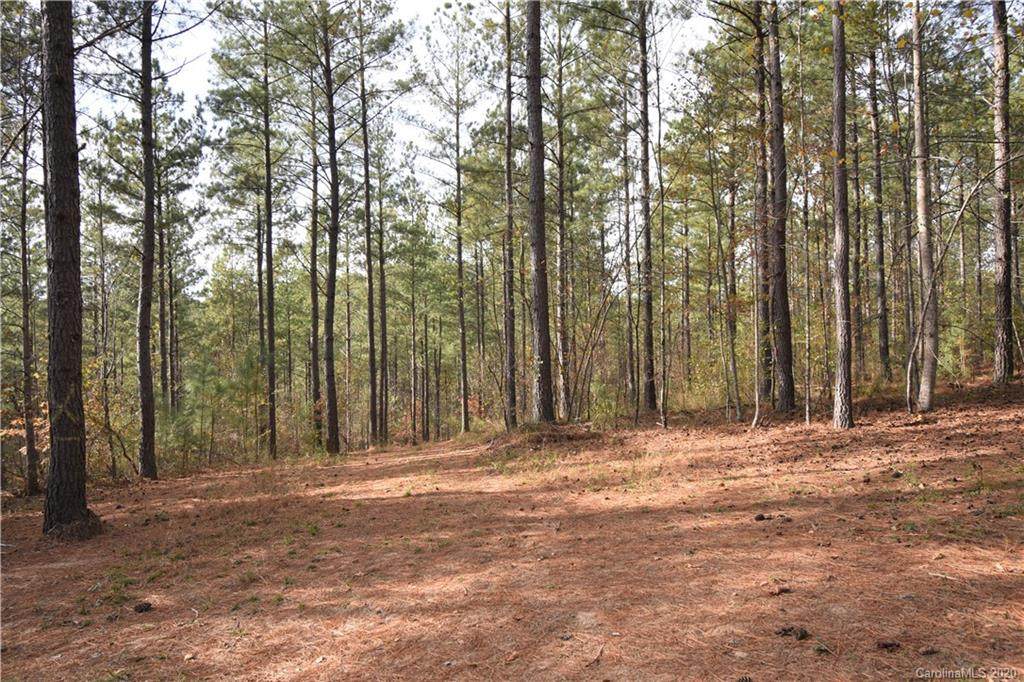 1589 Smokey Creek Road - Photo 1