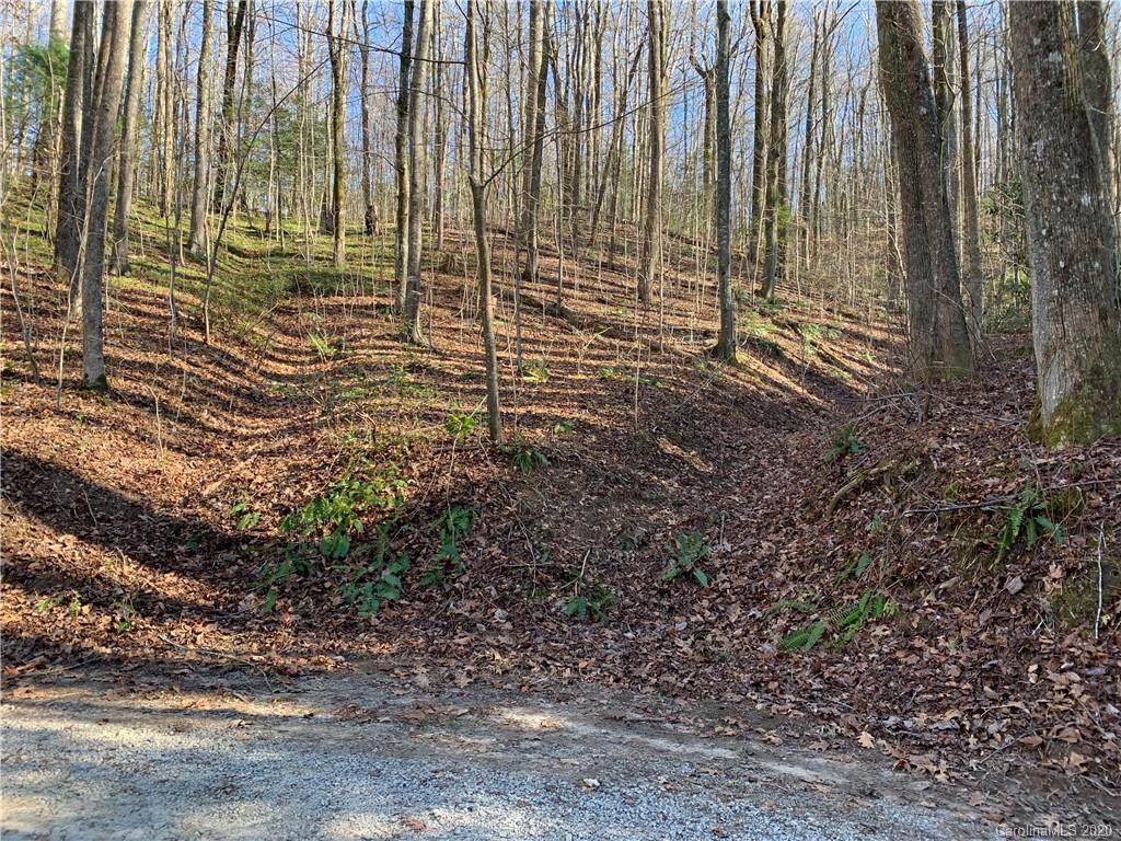 00 Heavens Gate Road - Photo 1