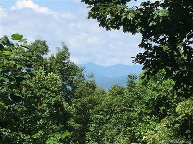105 Crossvine Trail - Photo 1