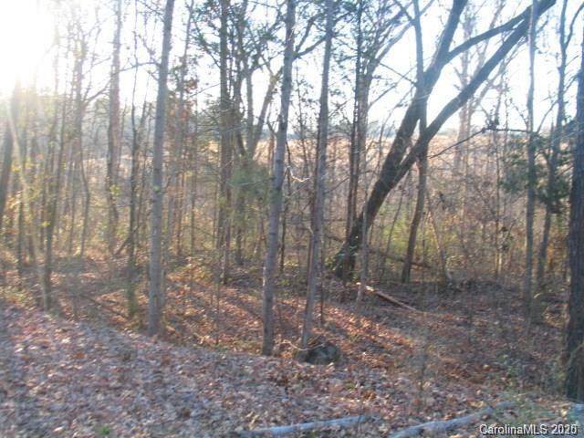00 Little Mountain Road - Photo 1