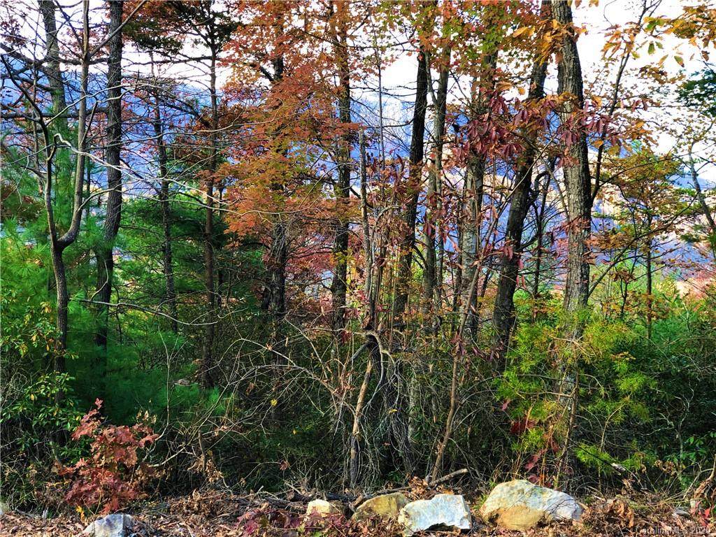Lot 23 Linville Drive - Photo 1