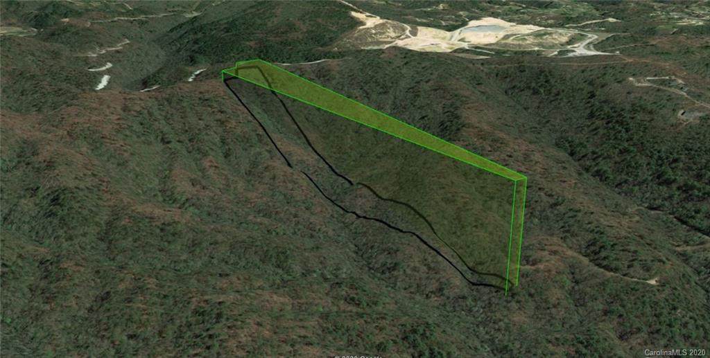 TBD Woodruff Road - Photo 1