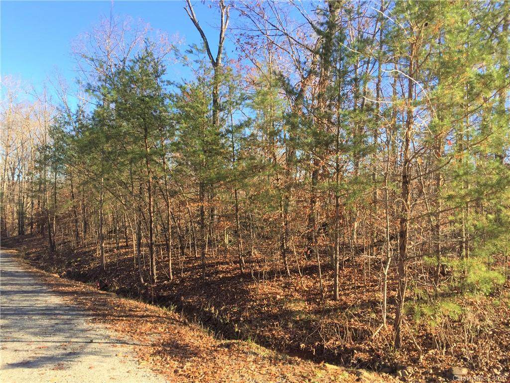 LOt# 37 Beechwood Circle - Photo 1