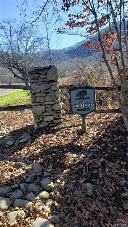 0 Wild Turkey Pen Road - Photo 1