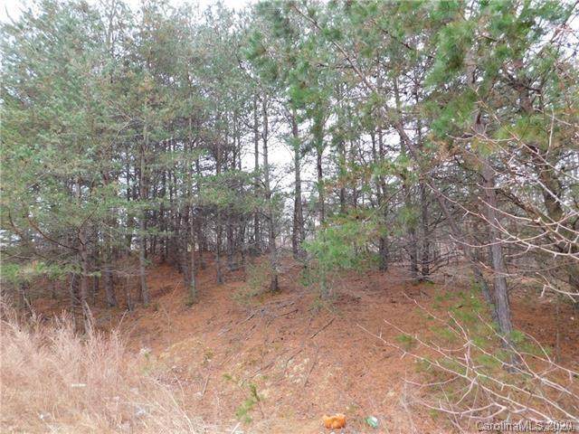 349 Forest Hollow Drive - Photo 1