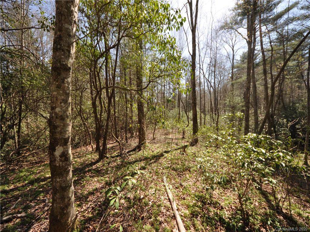 LOT 419 Prickly Briar Road - Photo 1