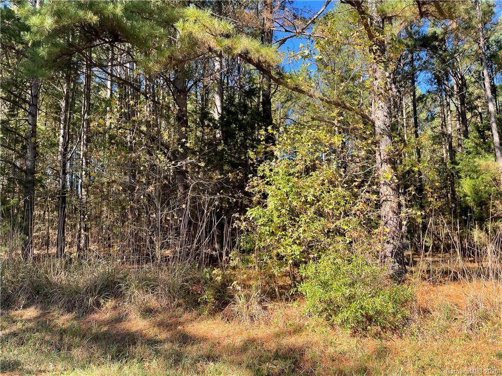 11320 Jim Sossoman Road - Photo 1