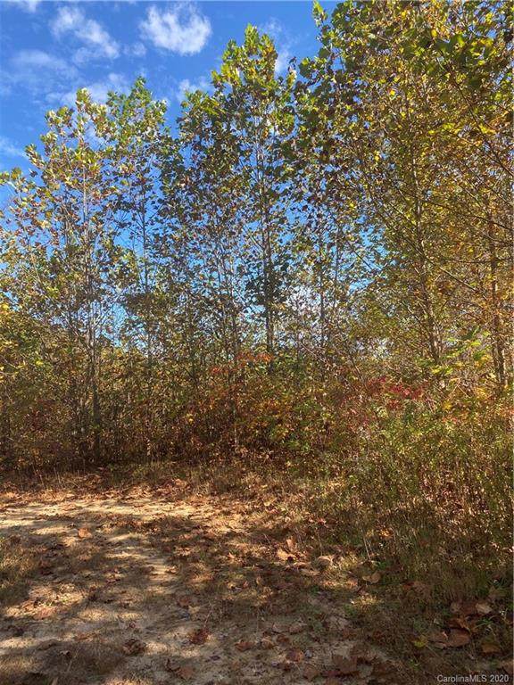 TBD White Oak Road - Photo 1