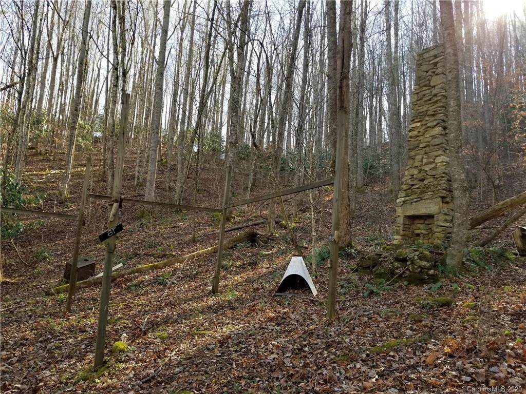 000 Roaring Fork Road - Photo 1