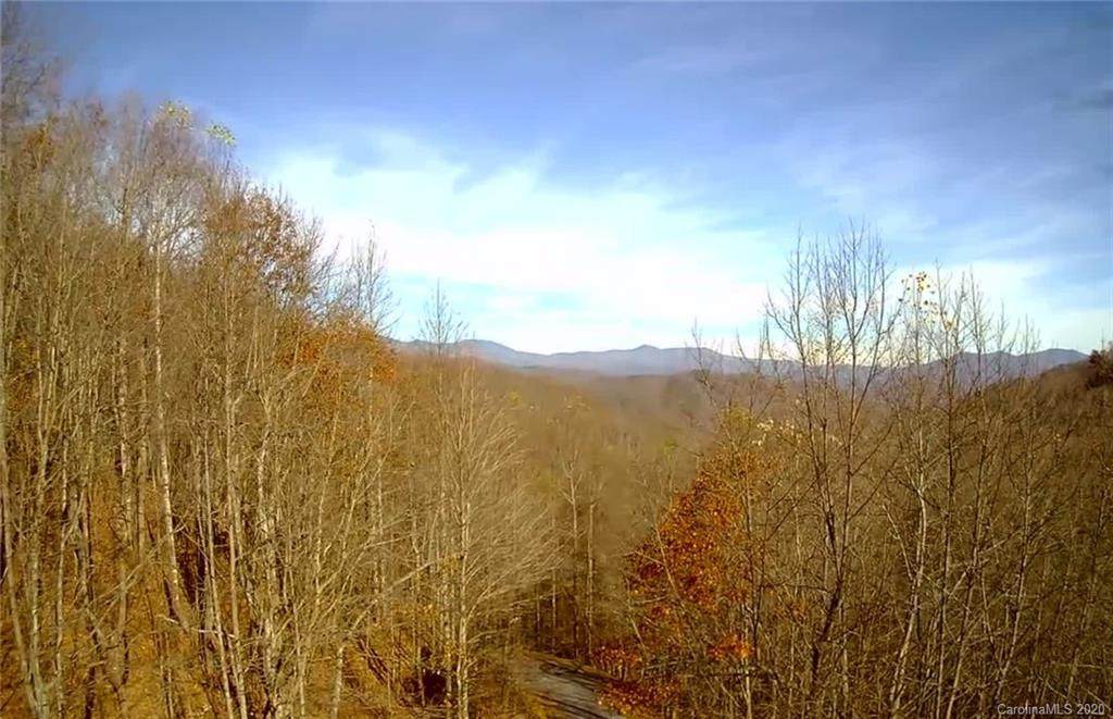 Lot 124 Atlantic Falls Trail - Photo 1