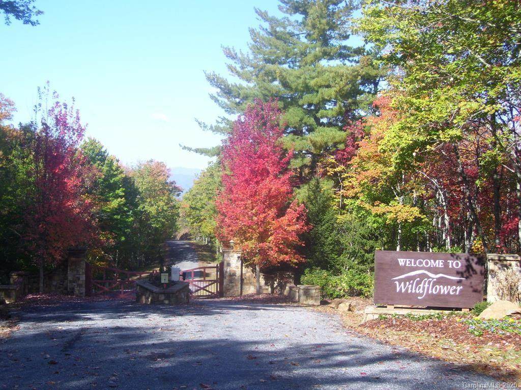 Lot 67 Lyle Mountain Trail - Photo 1