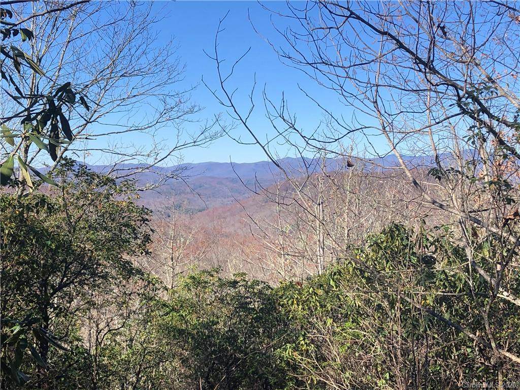 Tract 71 Whitetail Trail - Photo 1