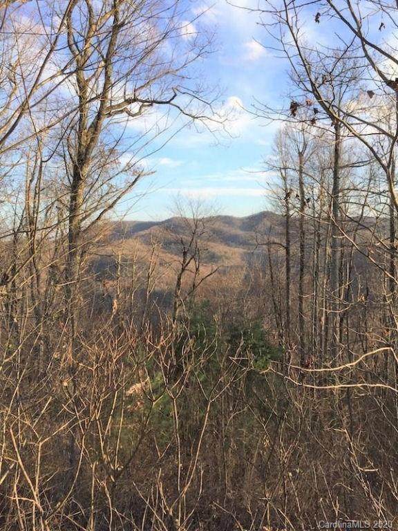0 Wintergreen Patch Lane - Photo 1