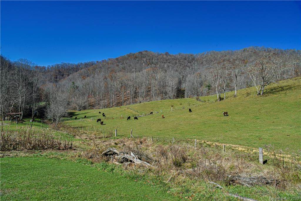 1142 Ponder Creek Road - Photo 1