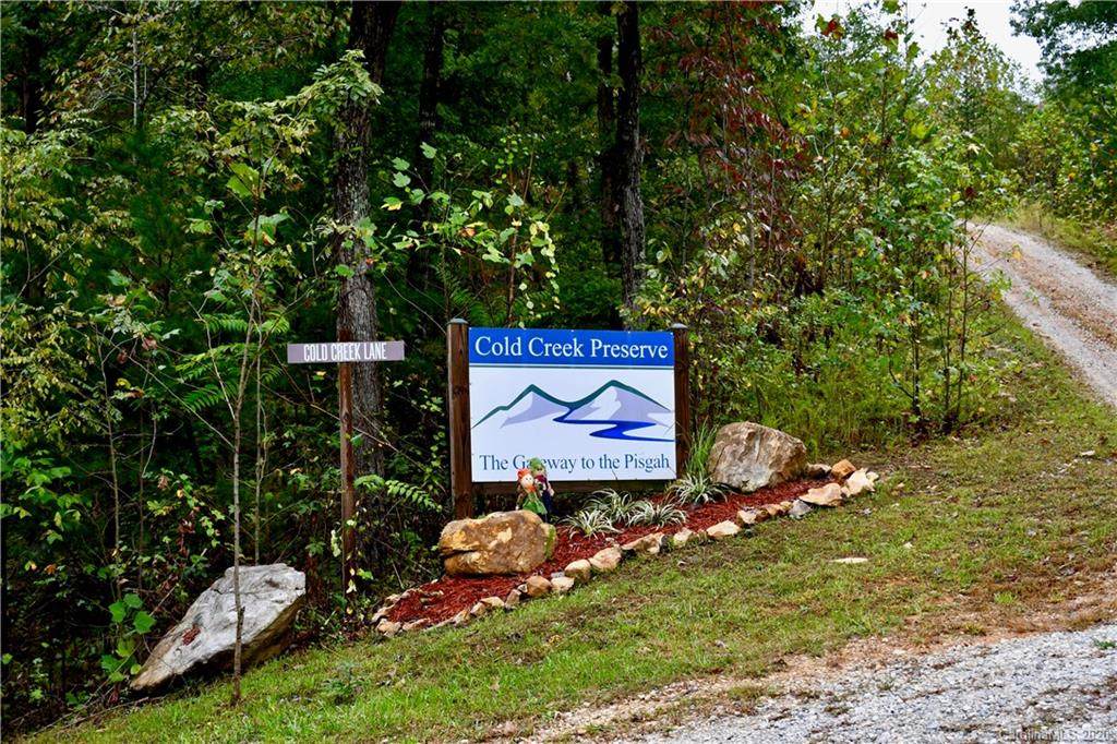 Lot 10 Dobsons Knob Loop - Photo 1
