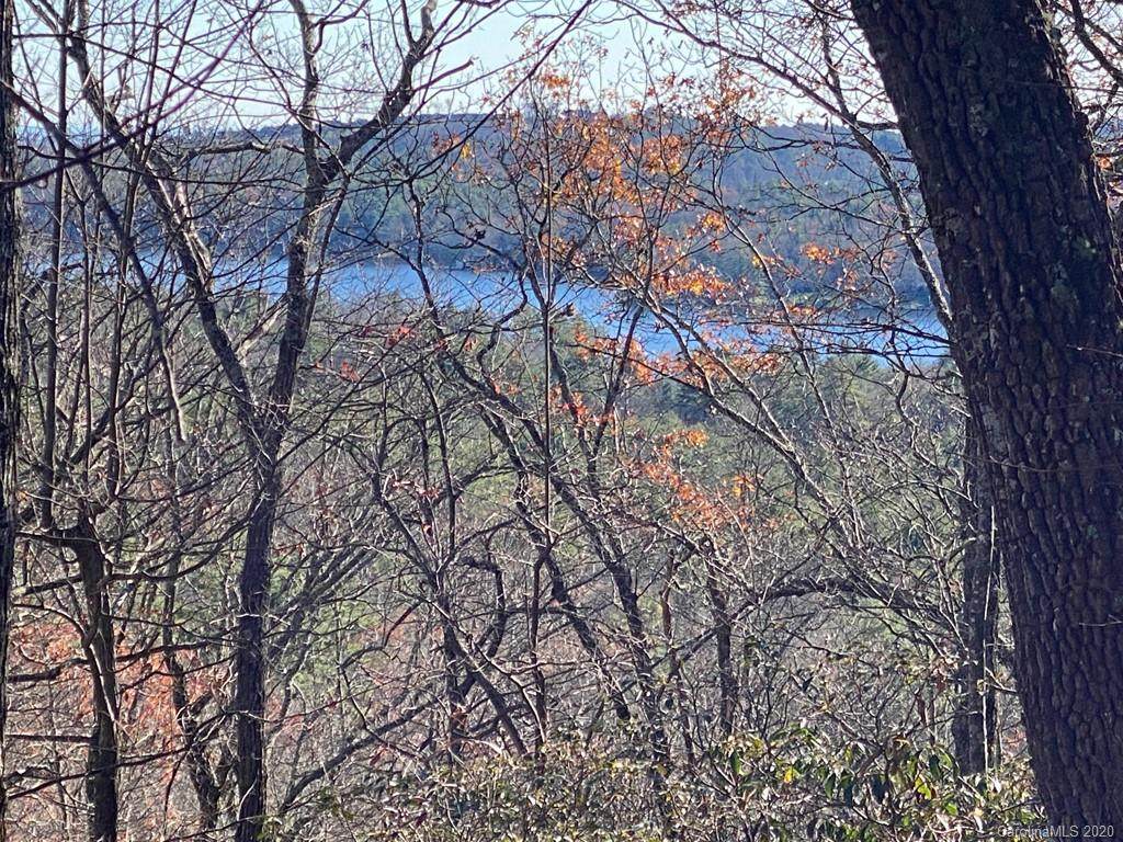 TBD Little Elbow Mountain Road - Photo 1