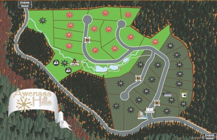 Lot 23 Trellem Trail - Photo 1