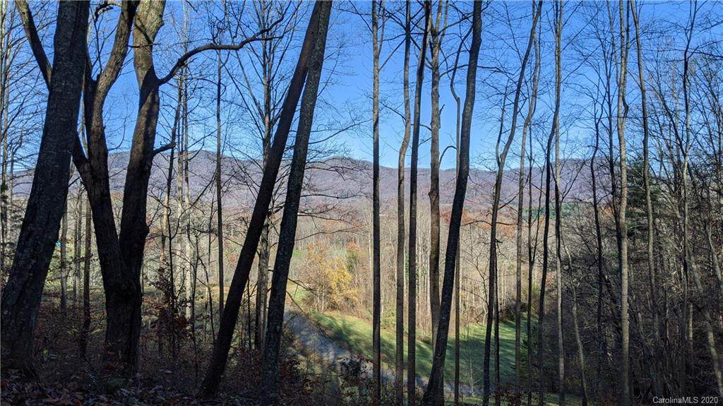 Lot #16 Lindon Cove Road - Photo 1