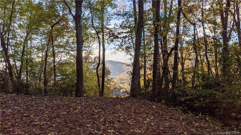 Lot #19 Lindon Cove Road - Photo 1