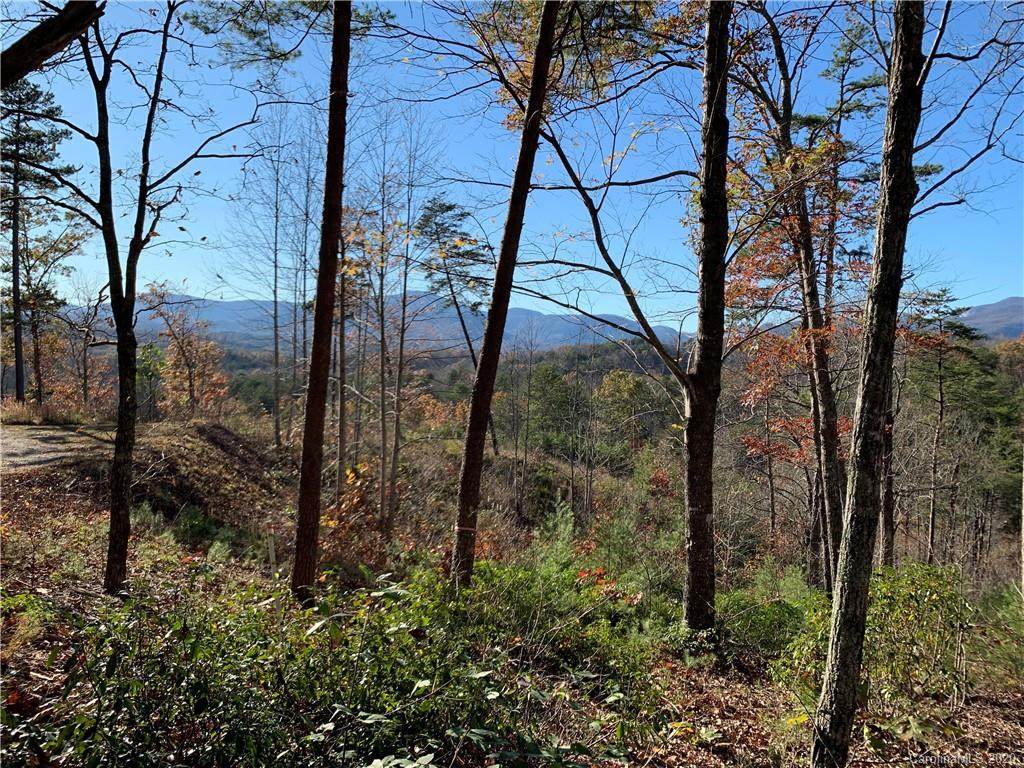 0 Deer Jump Trail - Photo 1