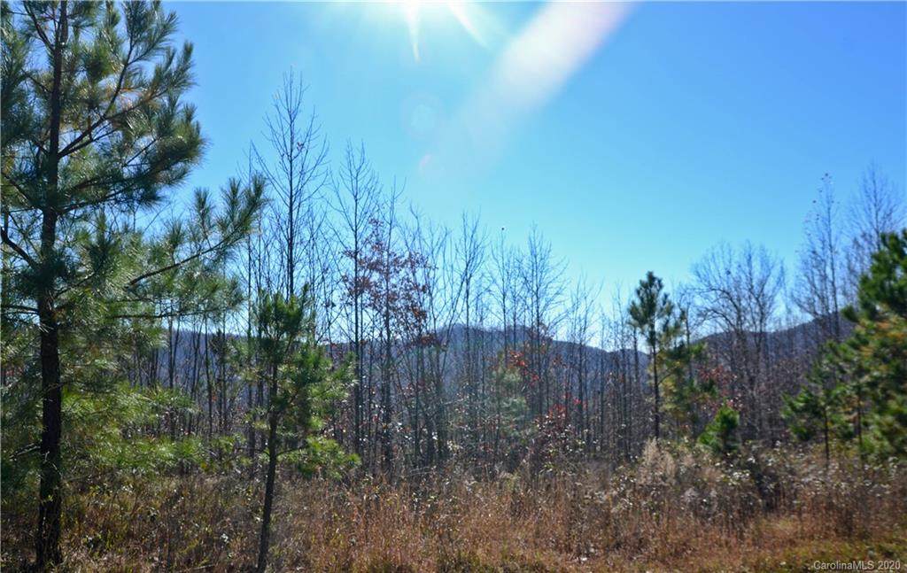 000 Scenic Vista Drive - Photo 1