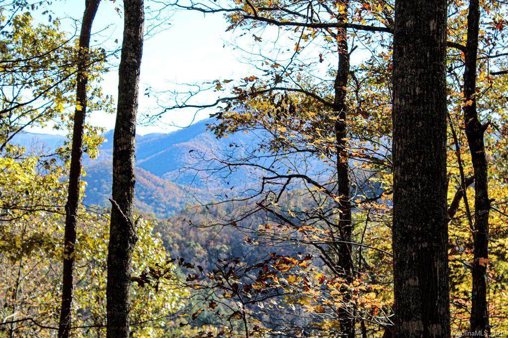 Lot 10 Eagles Nest Circle - Photo 1