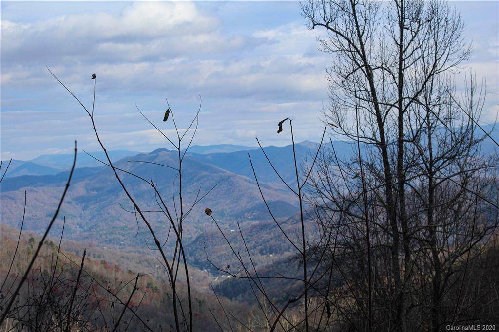 Lot 5 Raven Crest Lane - Photo 1