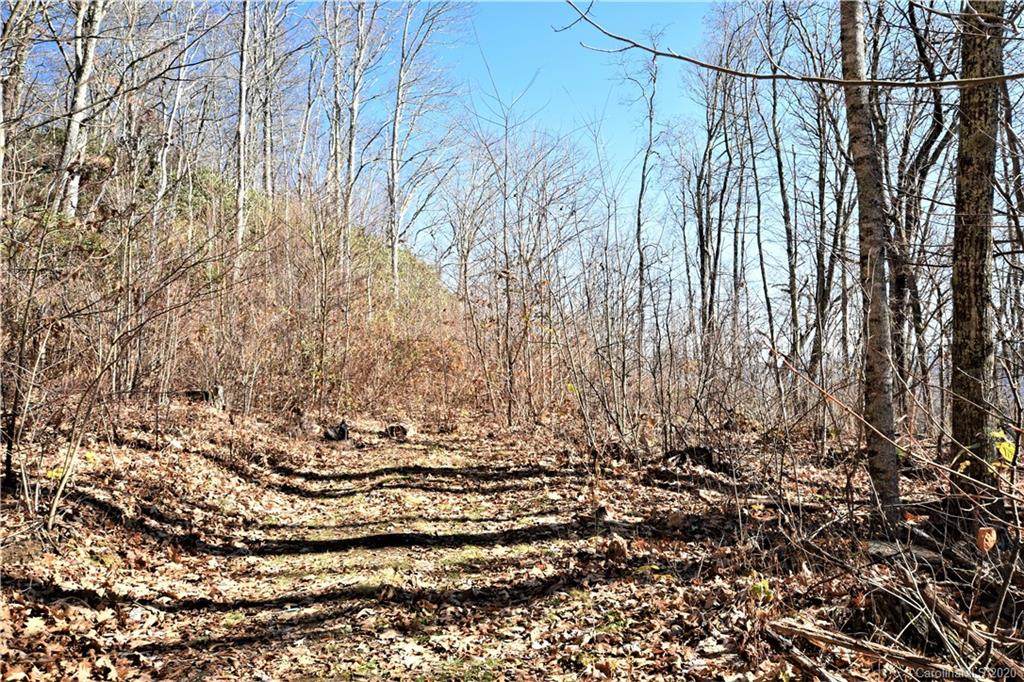 00 Buck Mountain Road - Photo 1