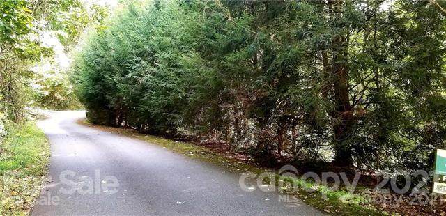 99999 Timbercreek Heights - Photo 1