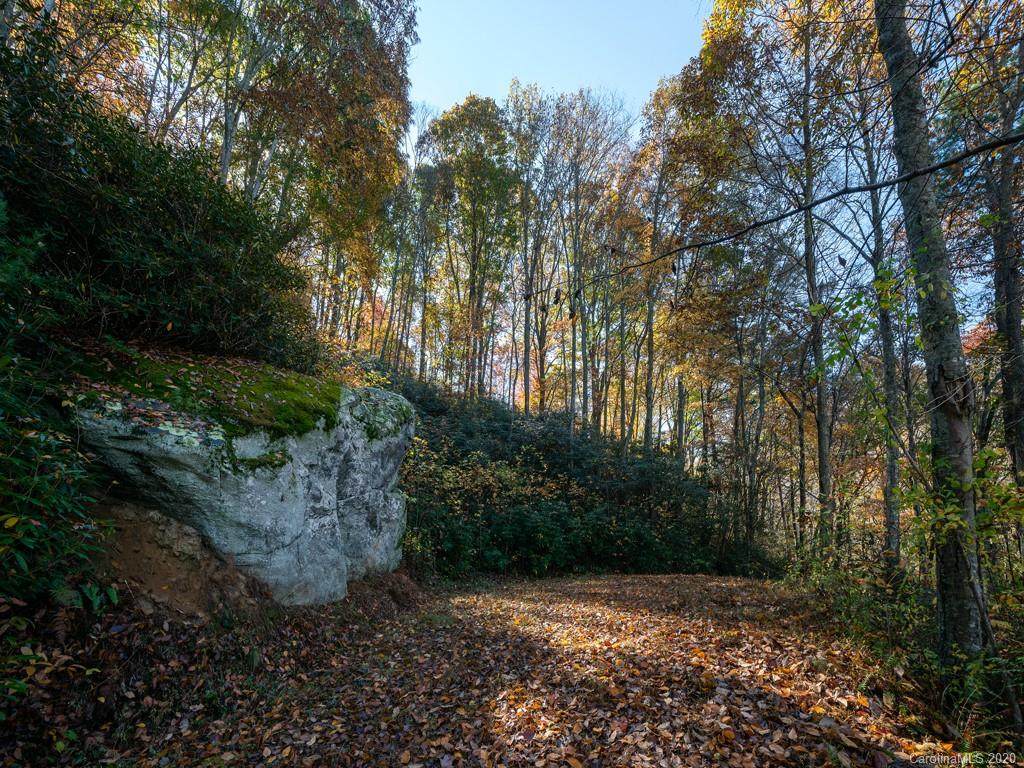 9 Flora Rose Trail - Photo 1