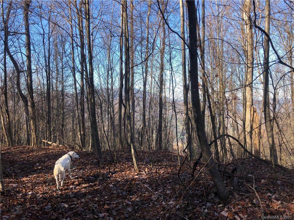 1 Moonstone Trail - Photo 1