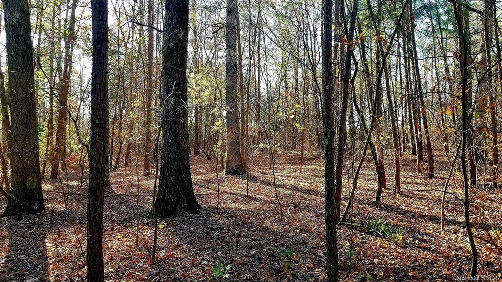 0 Crestwood Loop - Photo 1