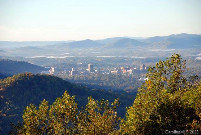 550 Elk Mountain Scenic Highway - Photo 1