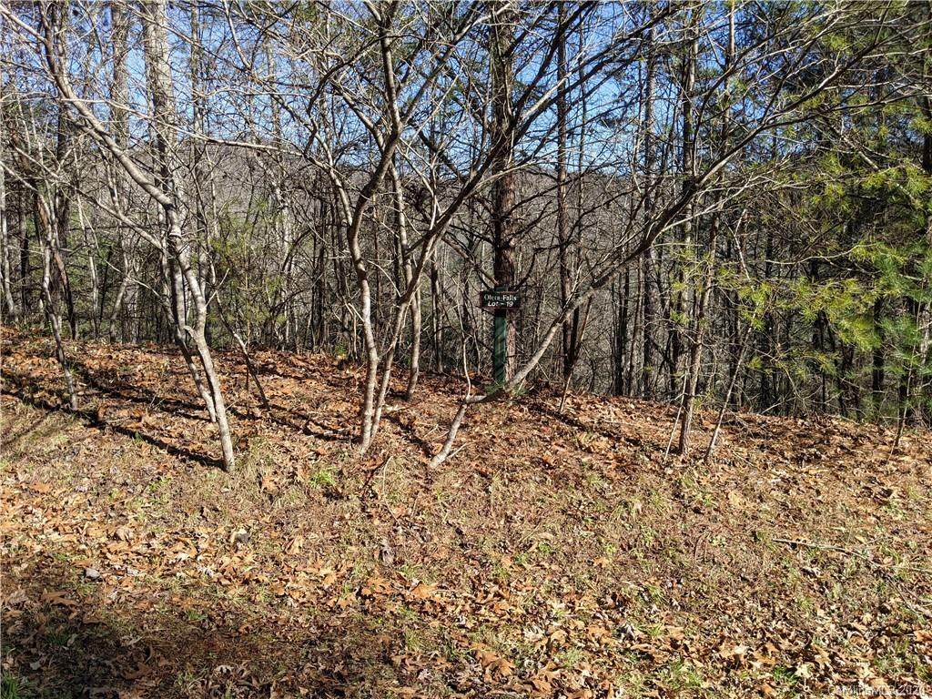 Lot 19 Oleta Mill Trail - Photo 1