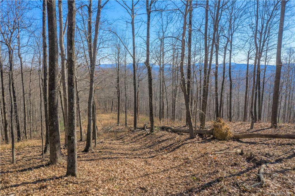 0000 Pinnacle Mountain Road - Photo 1