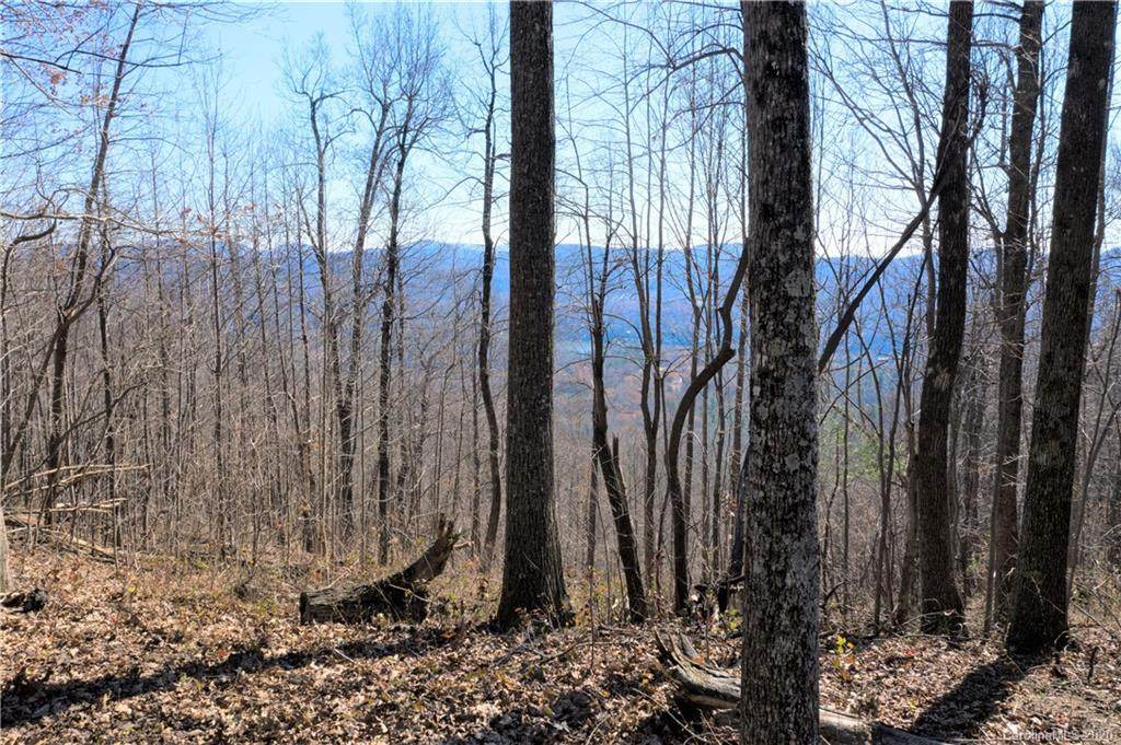 0000 Pinnacle Mountain Road - Photo 1