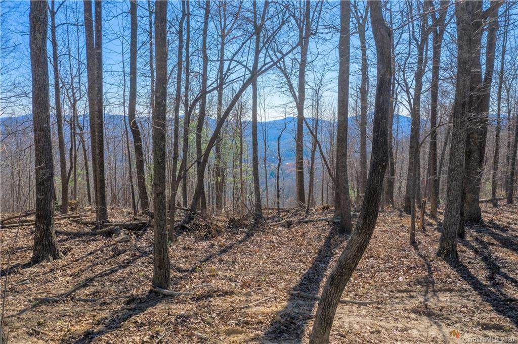 0000 Pinnacle Mountain Road - Photo 1