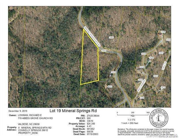 Lots 16 & Lot 19 Mineral Springs Mountain Road - Photo 1