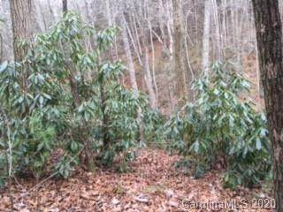 Lot 60/61 Coyote Hollow Road - Photo 1