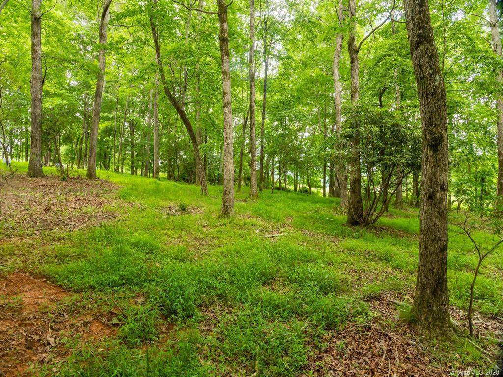 Lot 5 Turkey Ridge Road - Photo 1
