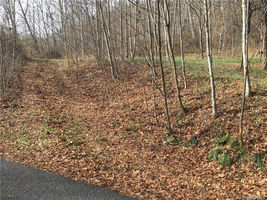 Lot 16 Coyote Hollow Road - Photo 1