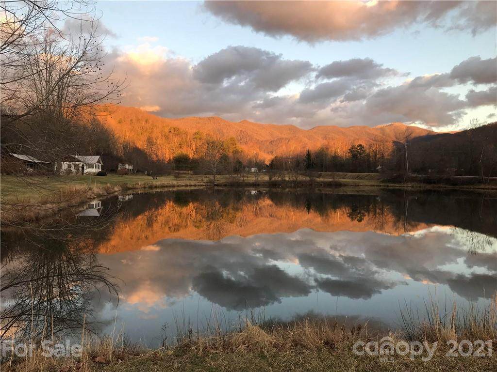 1100 Reems Creek Road - Photo 1
