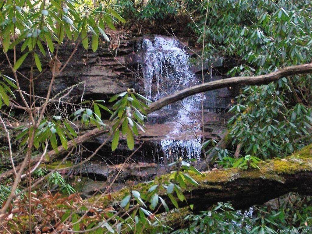 Tract B Buck Top Road - Photo 1
