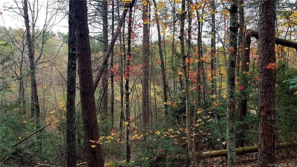 0 Shoal Creek Trail - Photo 1