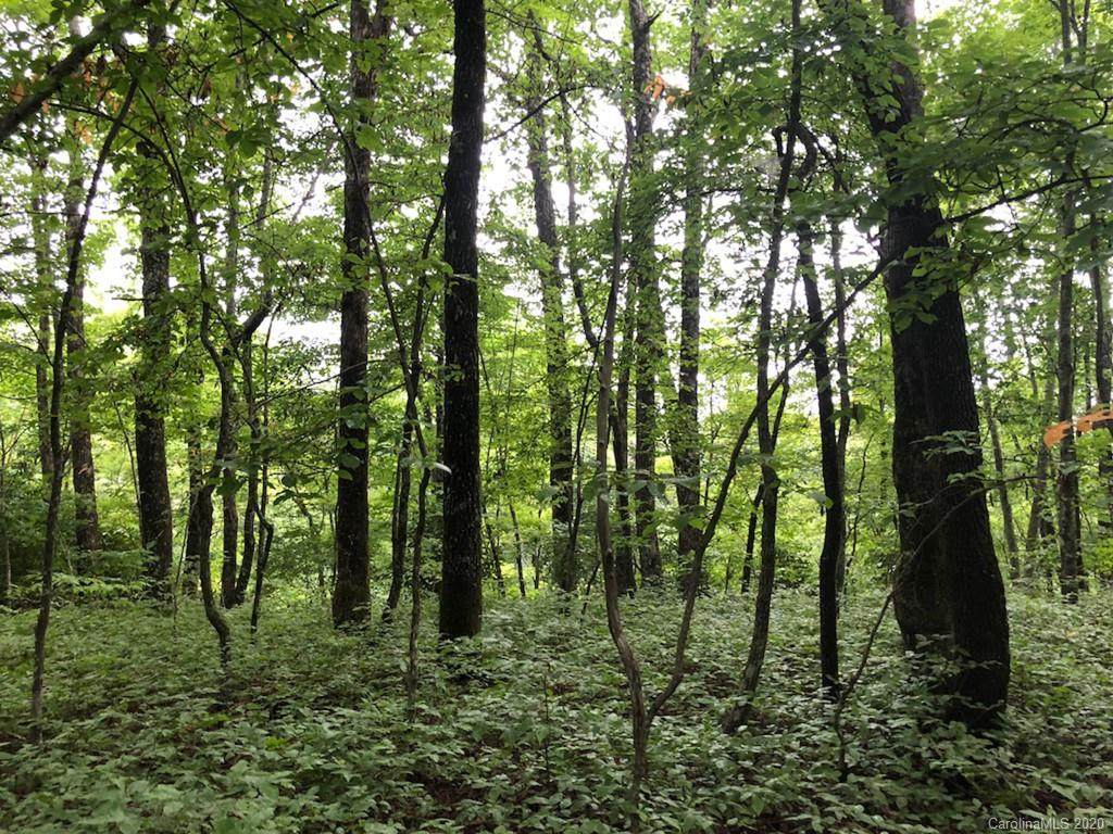33 Big Branch Road - Photo 1