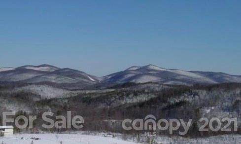 1590 Centennial Road - Photo 1