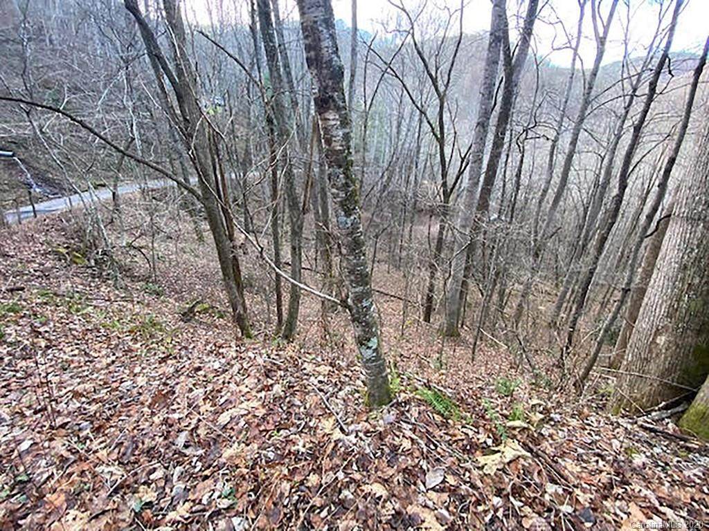 00 Pigpen Cove Road - Photo 1