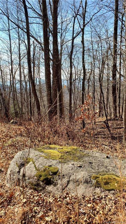 0 Doubleview Drive - Photo 1