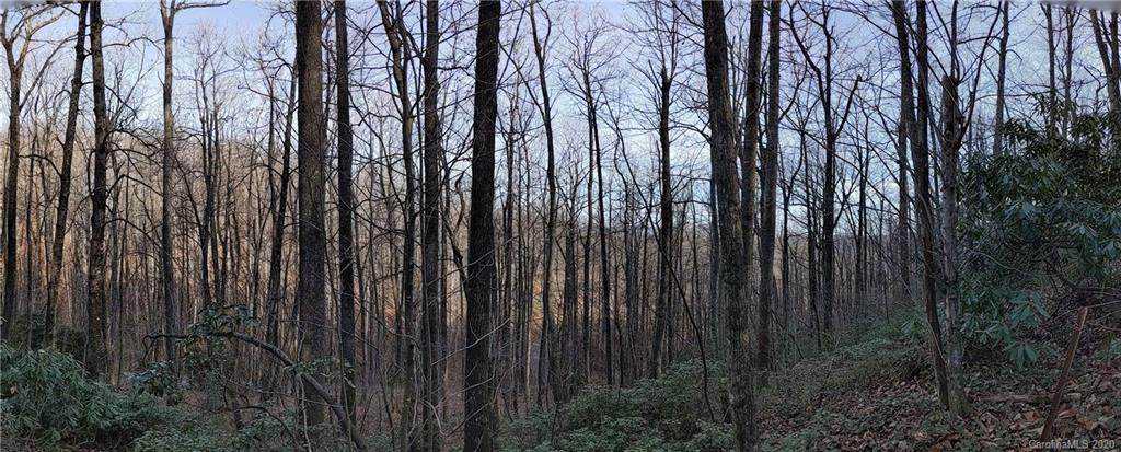 99999 Sand Branch Road - Photo 1