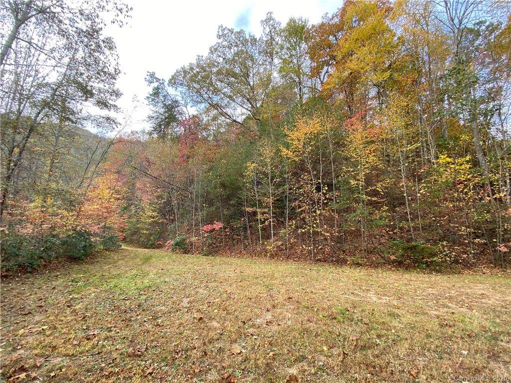 0000 Jenkins Branch Road - Photo 1